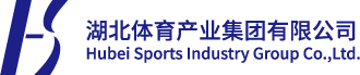 爱体育产业集团有限公司