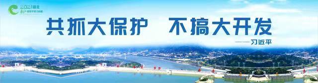 爱体育